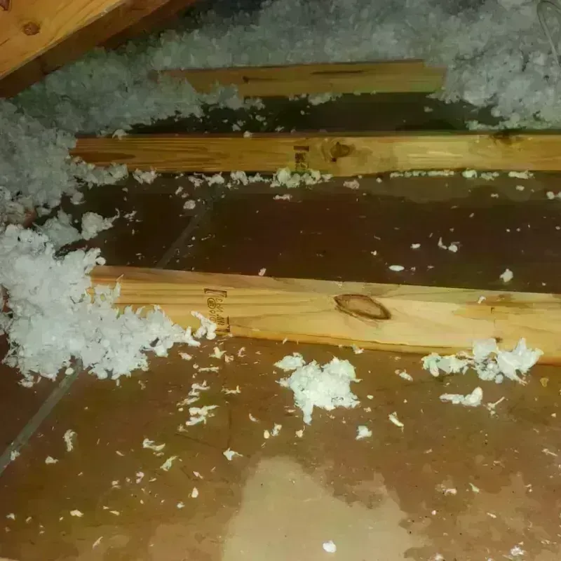 Attic Water Damage in Taloga, OK